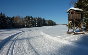 Zasněžená zima - leden 2017 Horka u Staré Paky